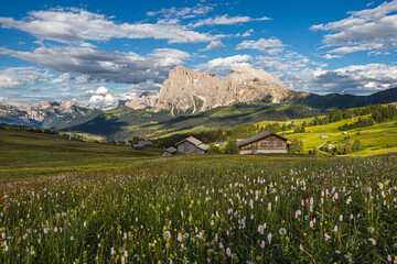 Seiser Alm in Südtirol