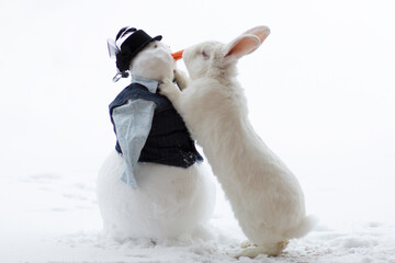 White rabbit and snowman. Rabbit and red carrots. White hare on the street in winter. The rabbit...