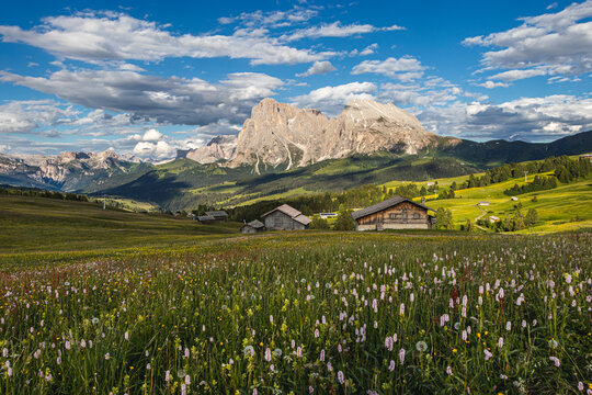 Seiser Alm in S&uuml;dtirol