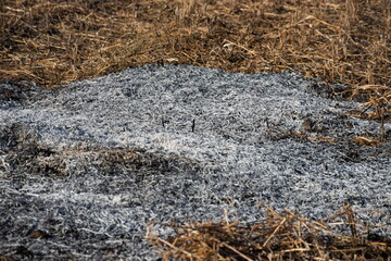 Close-up background of fire is rising from burning straw to black ash and smoke
