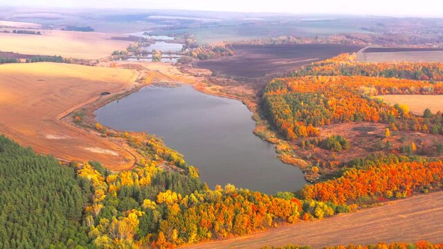 Autumn landscape. Arboretum them. Dokuchaev. 4K aerial photography.