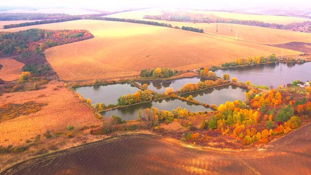 Autumn landscape. Arboretum them. Dokuchaev. 4K aerial photography.