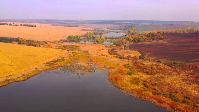 Autumn landscape. Arboretum them. Dokuchaev. 4K aerial photography.