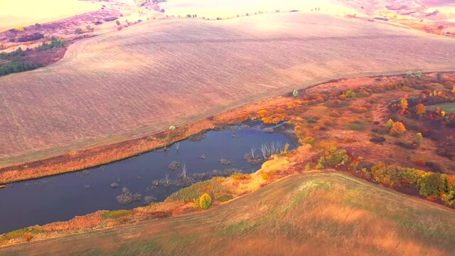 Autumn landscape. Arboretum them. Dokuchaev. 4K aerial photography.