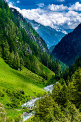 Fototapeta na wymiar Clear Mountain River Flows Through Alpine Valley With Pine Forests In Deferegental And National Park Hohe Tauern In Tirol In Austria
