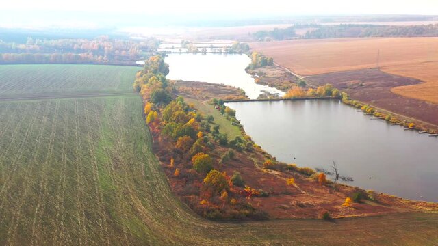 Autumn landscape. Arboretum them. Dokuchaev. 4K aerial photography.