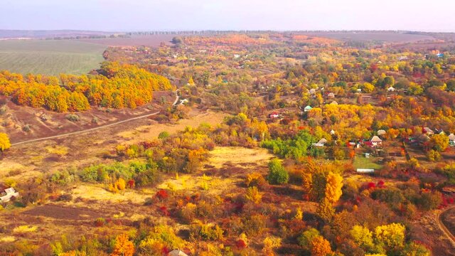 Autumn landscape. Arboretum them. Dokuchaev. 4K aerial photography.