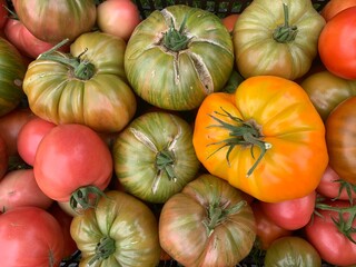 Box with ripe colored tomatoes stands on green grass.
