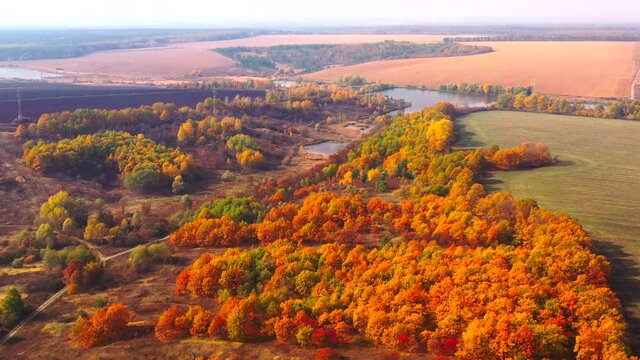 Autumn landscape. Arboretum them. Dokuchaev. 4K aerial photography.