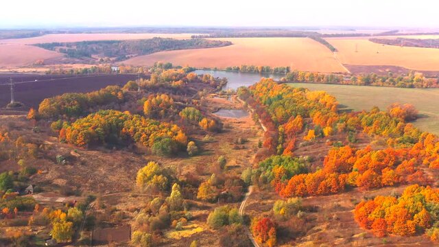 Autumn landscape. Arboretum them. Dokuchaev. 4K aerial photography.