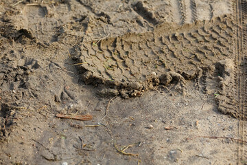 There are tire tracks in the muddy sand
