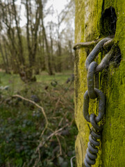 Chaine en métal sur poteau en foret