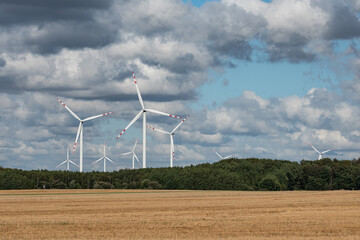 Ecological wind farm. Windmills that produce electricity. Renewable energy sources.