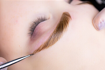 macro photography with applied paint on the hairs of the eyebrows of the model after the procedure...