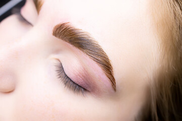 a close-up of the eyebrows of a young model on which hair coloring paints were applied after the...