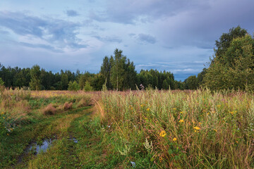 Path in a summer field in sunset time