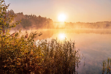 Early morning foggy lake