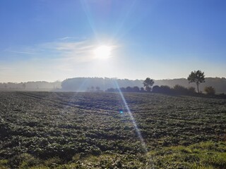 irrigation of field