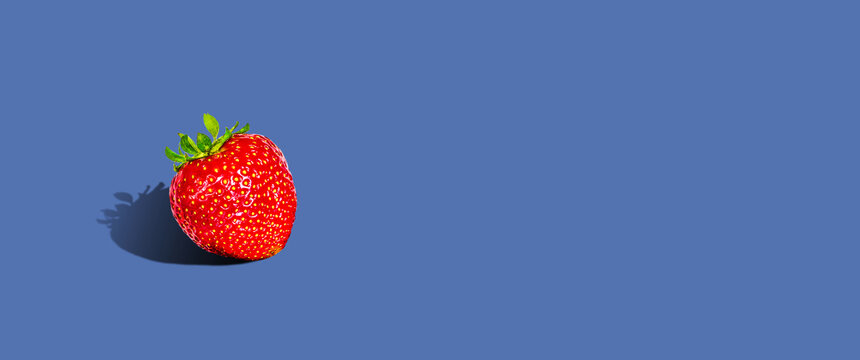 Fresh, ripe strawberries, on a dark blue background. Copy space. Hard shadow. Fruit background, banner. Place for your text. Fruits. Berries.