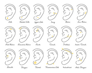 Set icons different types of ear pierced. Vector infographic elements illustration. International body piercing day. Icon Body jewelry - obrazy, fototapety, plakaty