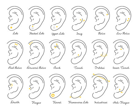 Set icons different types of ear pierced. Vector infographic elements illustration. International body piercing day. Icon Body jewelry
