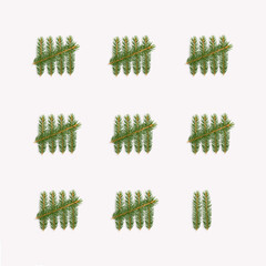 Christmas and New year concept with tally marks made of branches