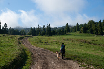 Obraz premium Szlak górski w górach, Pieniny