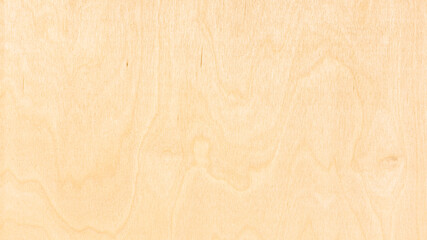 panoramic surface of natural wood birch plywood sheet