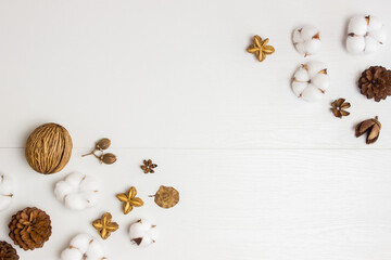 Nature cotton flowers with nuts and pine over the white wooden backgroun.d
