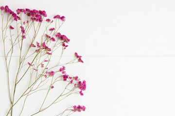 Purple flowers over the white wooden background.