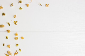 An autumn leaves over the white background.