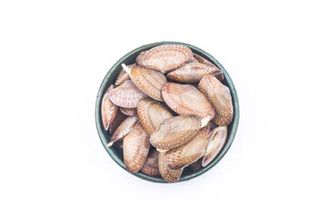 Flower clam on a white background