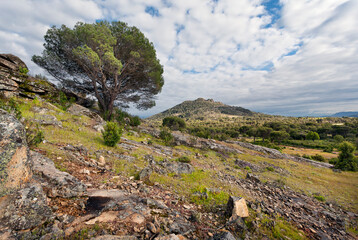 Peña Muñana. Madrid. España. Europa.