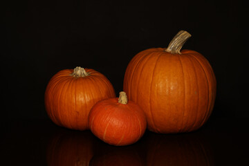 Orange colored pumpkins on a black background