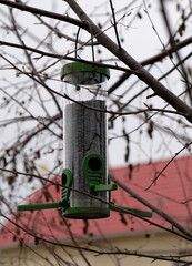 Green plastic bird feeder with sunflower seeds on a tree in the city park or autumn forest. Feed for wild birds in cold season. Cloudy autumn sky. Red roof of house background.