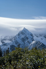 Fototapeta premium incredibly beautiful peaks of snow-capped mountains, incredible wildlife