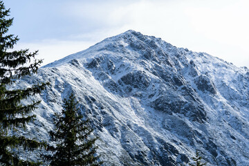 Obraz premium incredibly beautiful peaks of snow-capped mountains, incredible wildlife