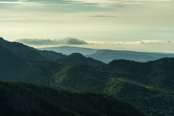Fototapeta premium beautiful mountain valleys overgrown with greenery, incredible wildlife