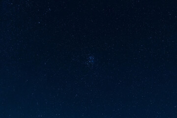 incredibly beautiful starry sky, amazing wildlife, incredible wildlife