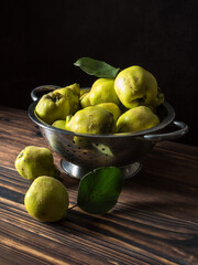 Large ripe quince fruits with leaves in a colander. 