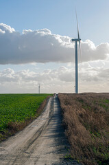 Zielona energia - Elektrownia wiatrowa  © bulamati