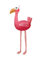 pink flamingo isolated on white