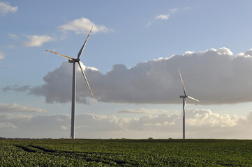 Zielona energia - Elektrownia wiatrowa  © bulamati