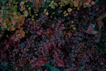 background of bubbles