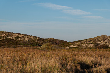 Dünenlandschaft auf der Nordseeinsel Sylt