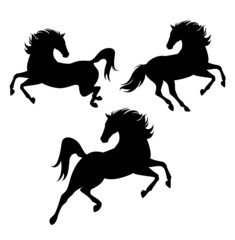 black and white vector silhouette outline set of prancing, jumping and running wild horses