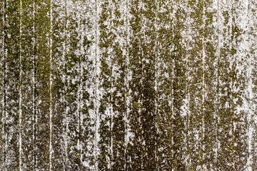 Mossy surface with grooves