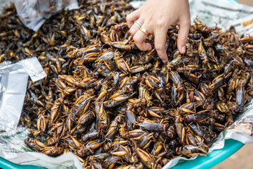 Asian market offer insects to eat