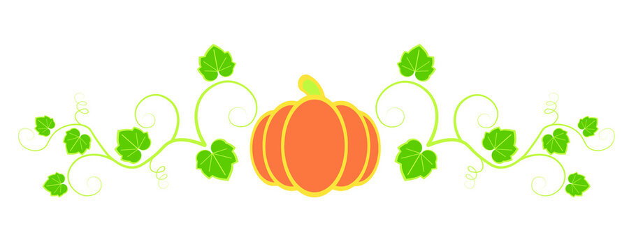 Simple monogram ornament with pumpkin, stems, leaves and tendrils of a plant

Colorful cartoon image of growing pumpkin in flat style isolated on white. Suitable for postcards, invitations, congratula