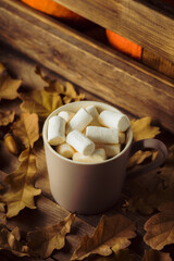 Cup of hot chocolate with marshmallow and dry oak leaves. Selective focus. Autumn mood.